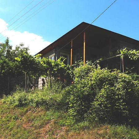 Вила Ирена Radevtsi Exterior foto