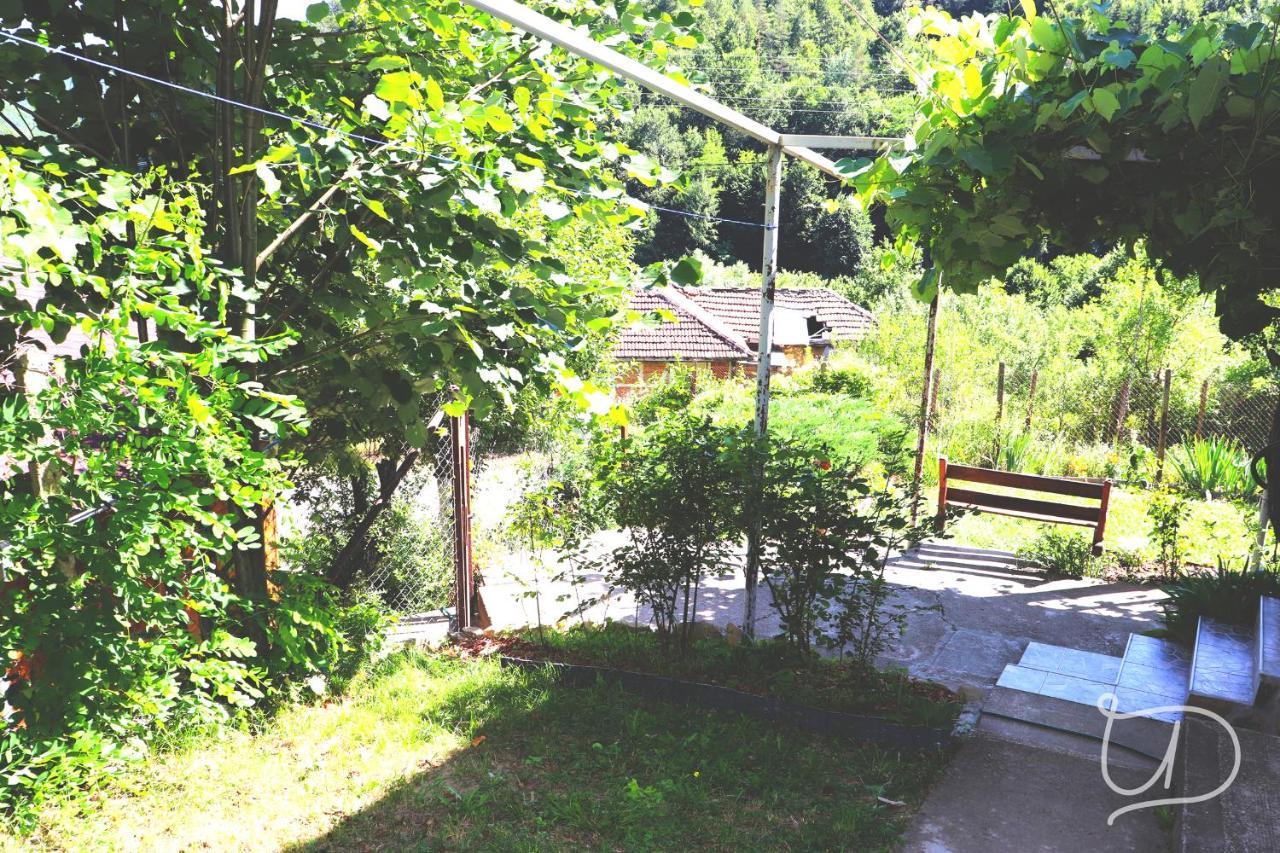 Вила Ирена Radevtsi Exterior foto