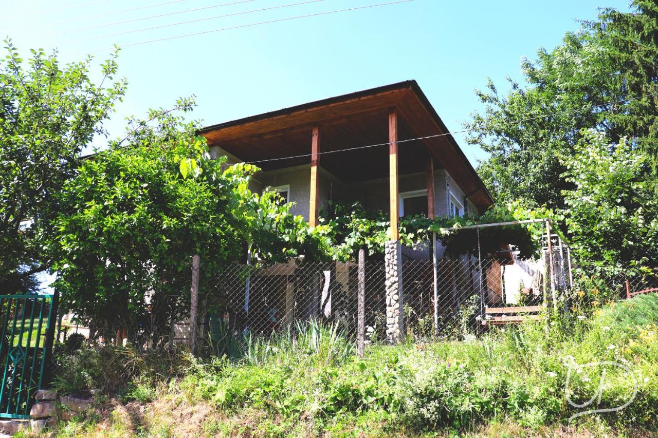 Вила Ирена Radevtsi Exterior foto