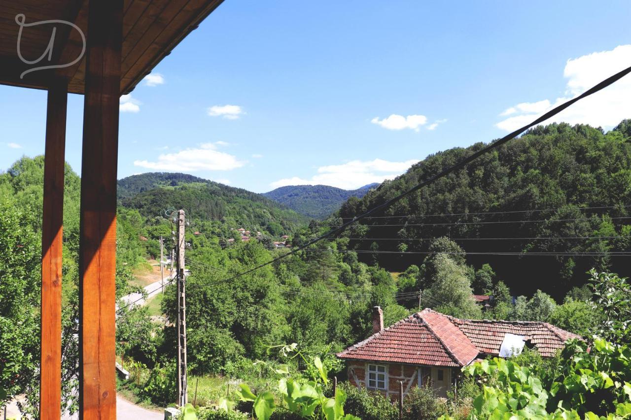 Вила Ирена Radevtsi Exterior foto