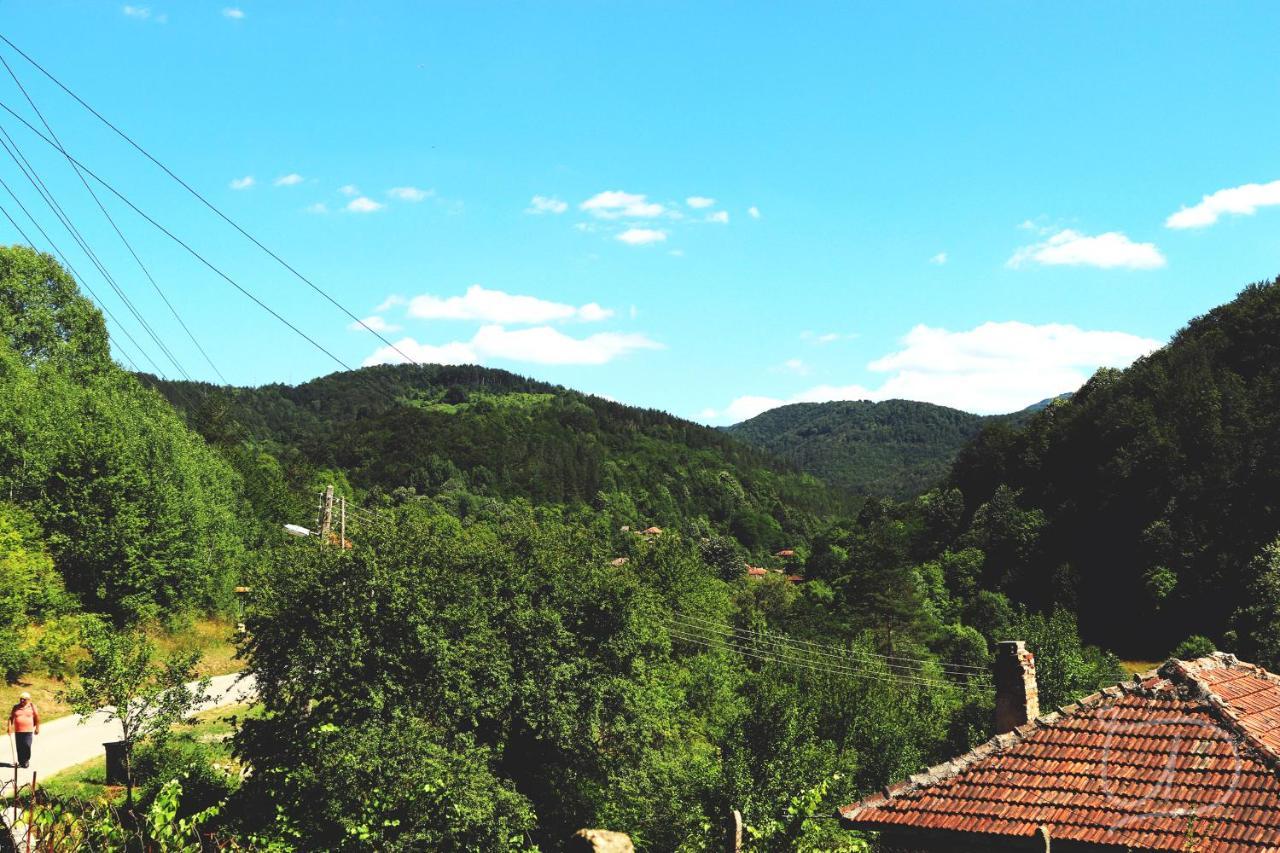 Вила Ирена Radevtsi Exterior foto