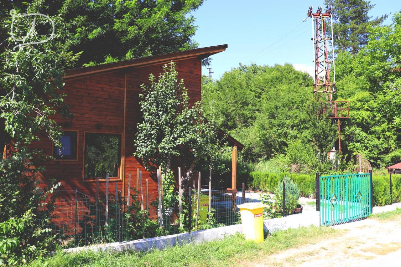 Вила Ирена Radevtsi Exterior foto